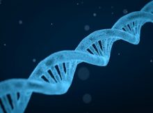 biotechnology