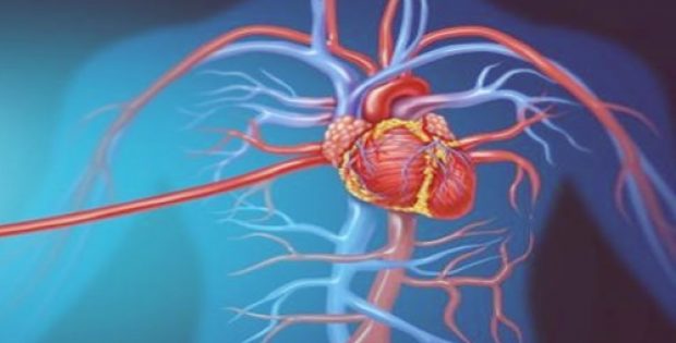 CHMP recommends Praluent’s approval to help curb cardiovascular risks