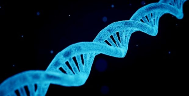 Principia Biopharma’s Phase 2 trial exhibits positive results